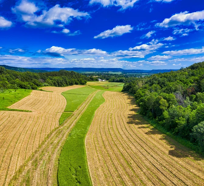 an aerial view of a plowed field, pexels contest winner, william penn state forest, blue sky and green grassland, overlooking a valley, cornell