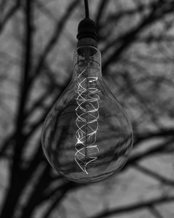 a light bulb hanging off the side of a tree, a black and white photo, inspired by Robert Mapplethorpe, pexels contest winner, glowing veins, lights inside, angry light, neon lamp