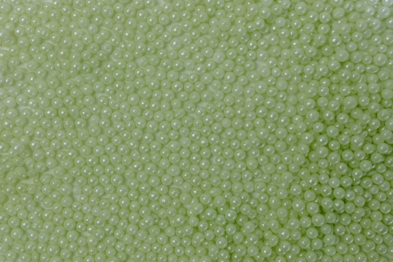a close up of a piece of broccoli, a stipple, by Yayou Kusama, soap bubbles, lightgreen, heavy grain-s 150, beads