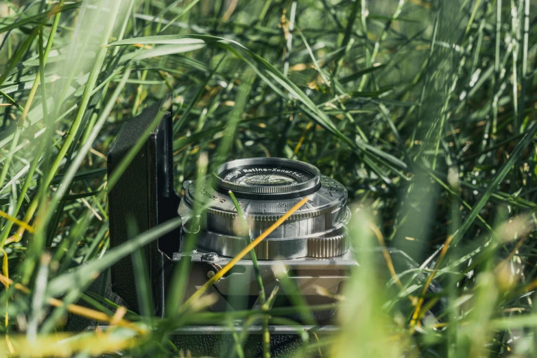 a silver camera sitting on top of a lush green field, hasselblad photograph, in the high grass, exploration, medium format