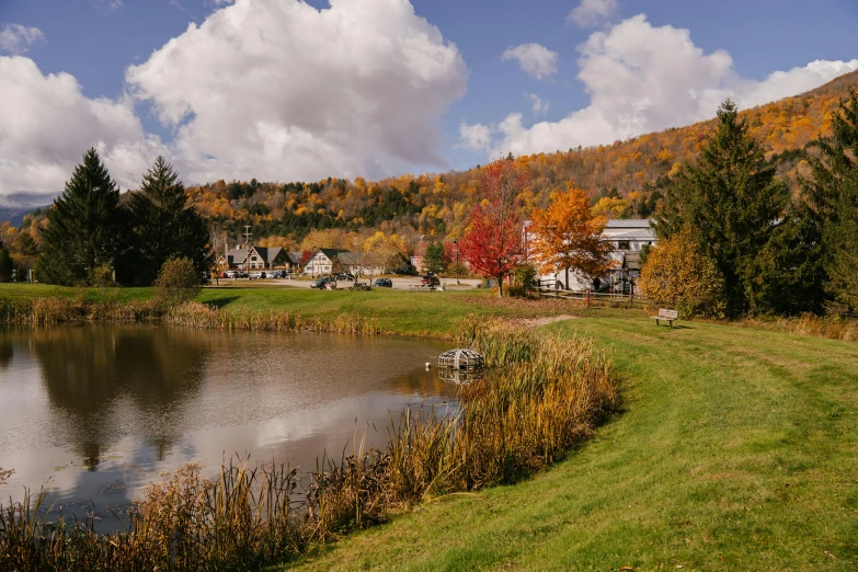 a large body of water surrounded by trees, pilgrim village setting, maple syrup, beautiful surroundings