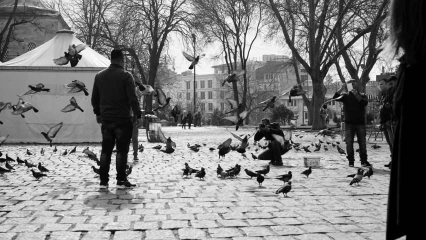 a man standing in front of a flock of birds, a black and white photo, by Lucia Peka, pexels, muddy village square, city park, people outside eating meals, squares