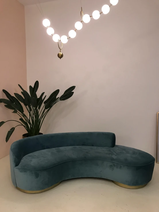 a blue couch sitting in a living room next to a potted plant, by Adam Rex, jewelry lighting, serpentine curve!!!, photo for a store, teal and pink