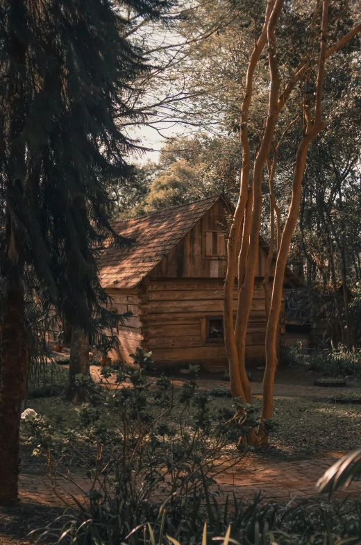 a cabin in the woods surrounded by trees, a picture, inspired by Isaac Levitan, unsplash contest winner, renaissance, soft light.4k, parks and gardens, small library, elrond's house