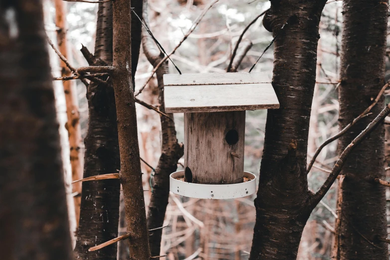 a birdhouse hanging from a tree in the woods, inspired by Elsa Bleda, trending on pexels, eating outside, white, thumbnail, 90s photo