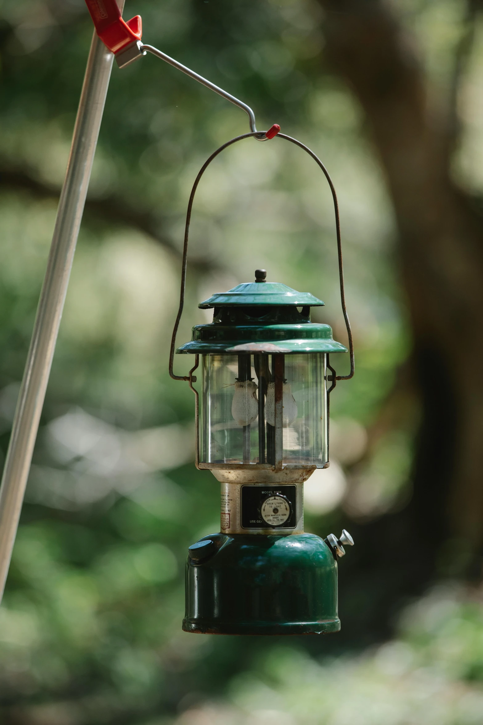 a bird feeder hanging from the side of a tree, a portrait, unsplash, renaissance, gas lanterns, camping, emerald, super detailed image