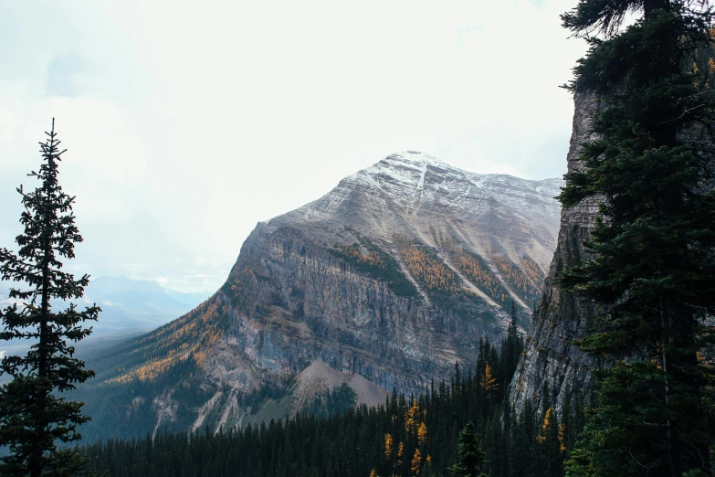 a view of a mountain with trees in the foreground, by Doug Wildey, pexels contest winner, high cliff, mid fall, subtle detailing, instagram post