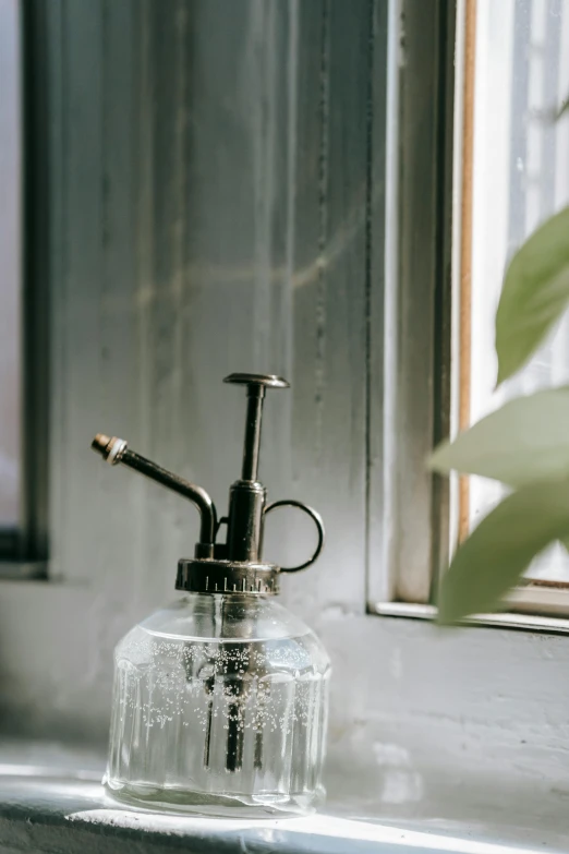 a close up of a faucet on a window sill, an etching, unsplash, terrarium, vintage closeup photograph, bong, spray