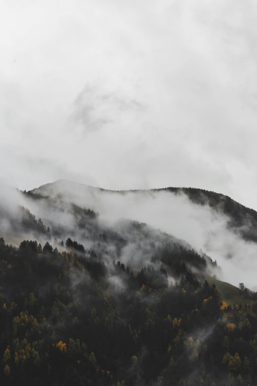 a black and white photo of a mountain covered in fog, pexels contest winner, colored fog, mid fall, cloudy day, black forest