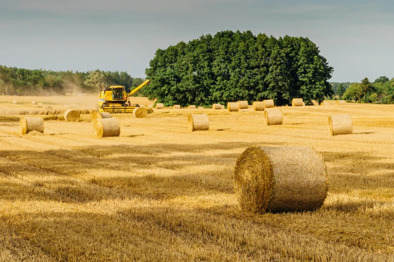 hay bales in a field with a tractor in the background, by Andries Stock, pexels contest winner, avatar image, no cropping, round format, high resolution photo