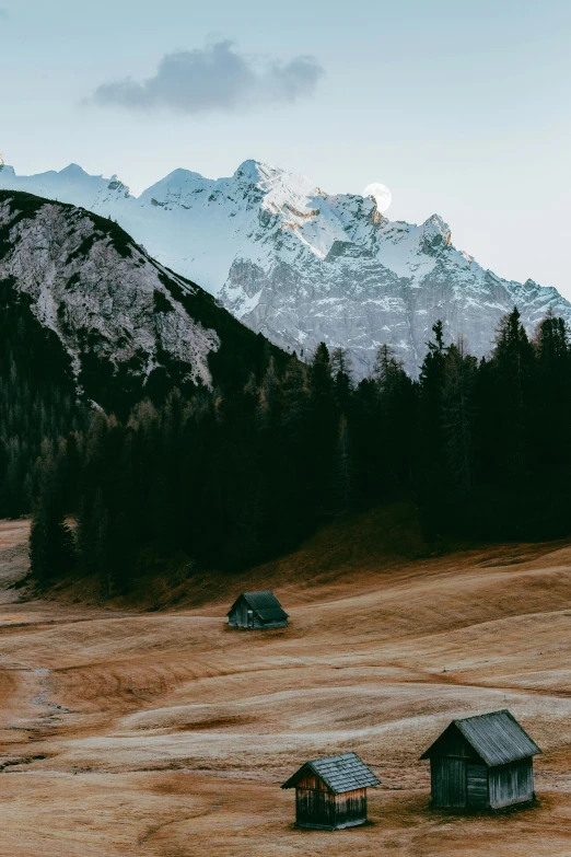 a couple of small houses sitting in the middle of a field, by Sebastian Spreng, pexels contest winner, log cabin beneath the alps, muted colors. ue 5, hill with trees, winter setting