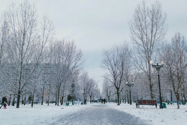 a street filled with lots of snow covered trees, a photo, pexels contest winner, with a park in the back ground, montreal, white pale concrete city, album