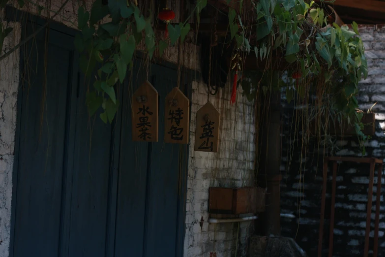 a red fire hydrant sitting in front of a blue door, a picture, inspired by Cui Bai, shin hanga, vines hanging from trees, 12th century apothecary shop, background image, atmospheric photo