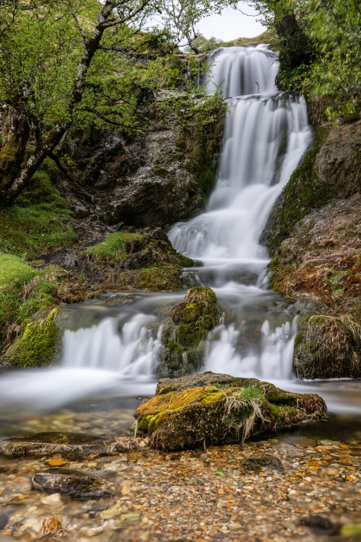 a waterfall flowing through a lush green forest, aly fell, today's featured photography 4k, clear water, posed