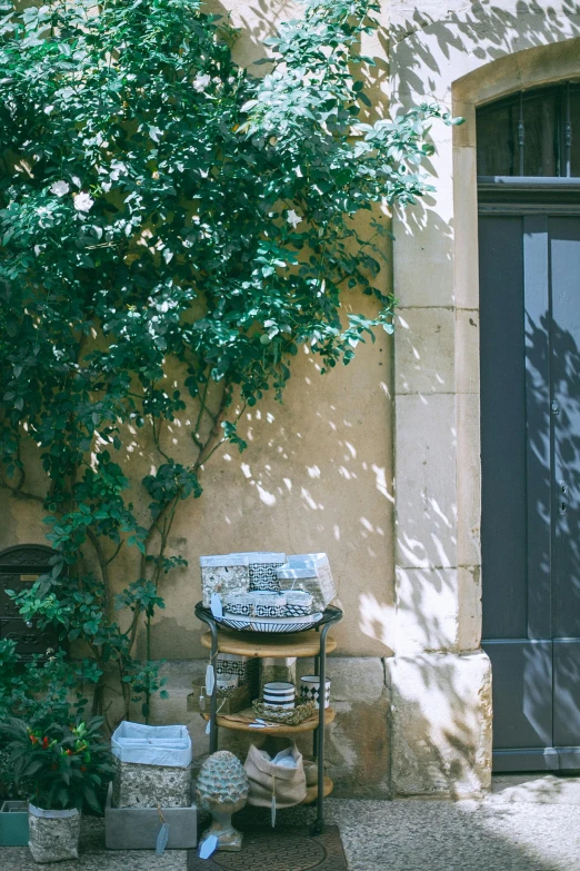 there is a potted plant in front of a door, inspired by Pierre Pellegrini, pexels contest winner, french provincial furniture, under the soft shadow of a tree, shrubbery, stone table