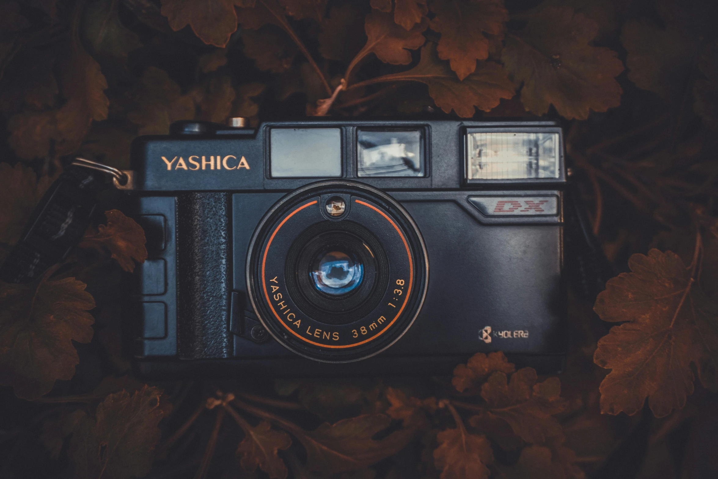 a camera sitting on top of a pile of leaves, yasuke 5 0 0 px models, vintage aesthetic, photo in 4 k, old style photo