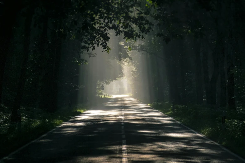 a tree lined road in the middle of a forest, pexels contest winner, light and space, some sun ray of lights falling, god light shafts, paved, black road