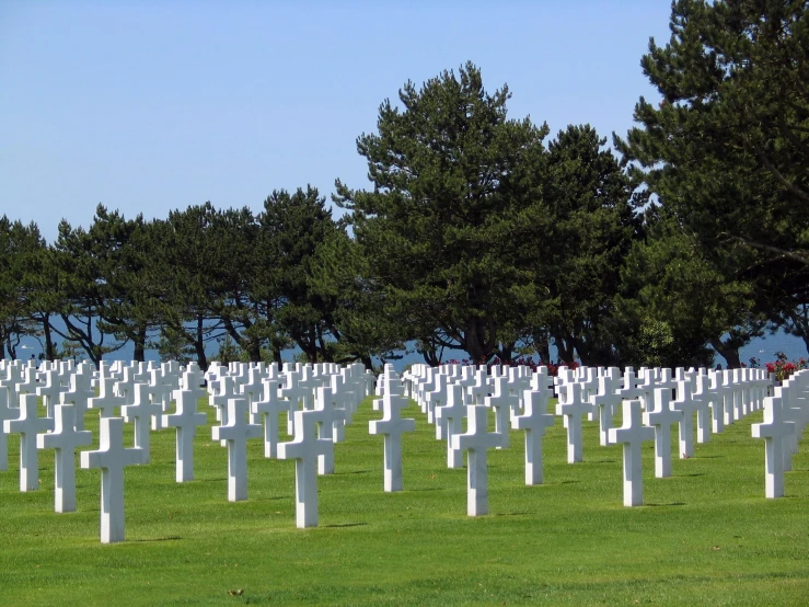 a field of white crosses with trees in the background, by Tom Wänerstrand, pexels contest winner, omaha beach, all skeletons, san francisco, a green