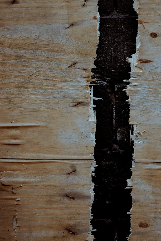 a cross is reflected in a puddle of water, an album cover, inspired by Pierre Soulages, unsplash, interior wood, cardboard, bark, 144x144 canvas