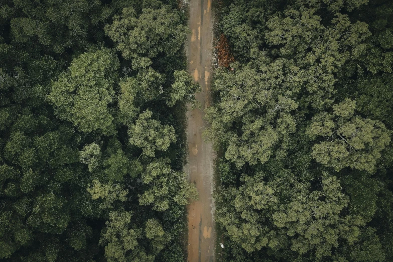 an aerial view of a road in the middle of a forest, by Carey Morris, hurufiyya, 4 k cinematic photo