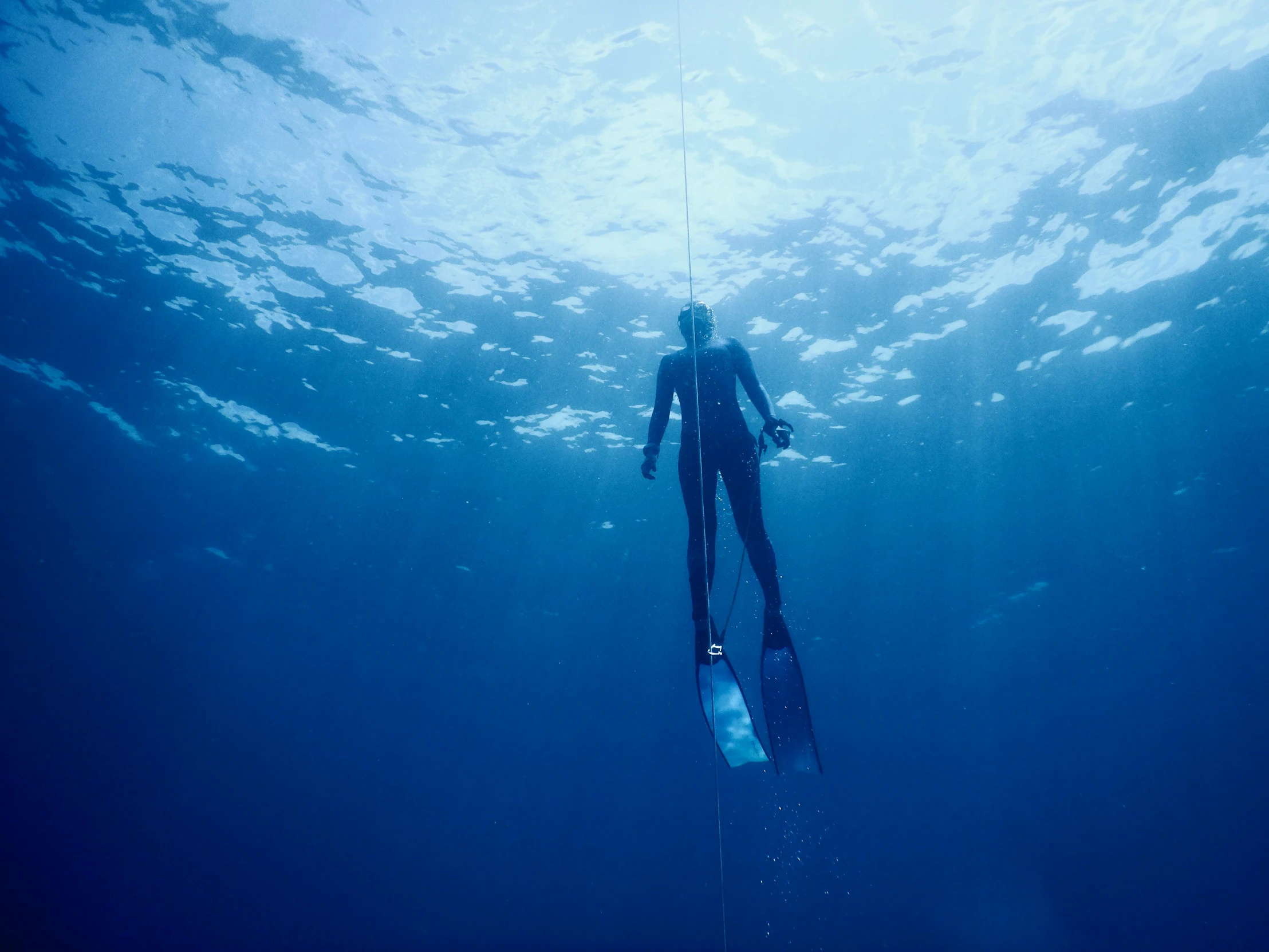 a man in a wet suit swimming in the ocean, blue archive, 3 meters, by emmanuel lubezki, hanging