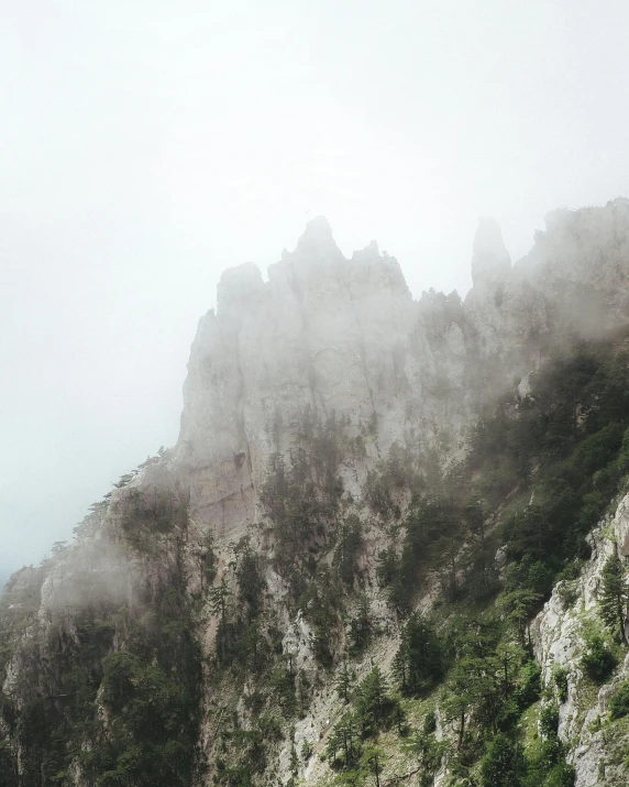 a group of people standing on top of a mountain, a matte painting, pexels contest winner, romanticism, light grey mist, trees and cliffs, today\'s featured photograph 4k, tall stone spires