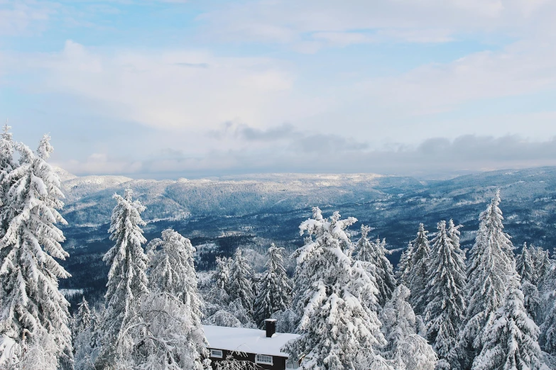 a cabin in the middle of a snowy forest, pexels contest winner, hurufiyya, overlooking a valley with trees, black forest, thumbnail, minna sundberg