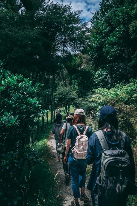 a group of people walking down a path in the woods, trending on unsplash, sumatraism, with a backpack, new zealand, squad, girls