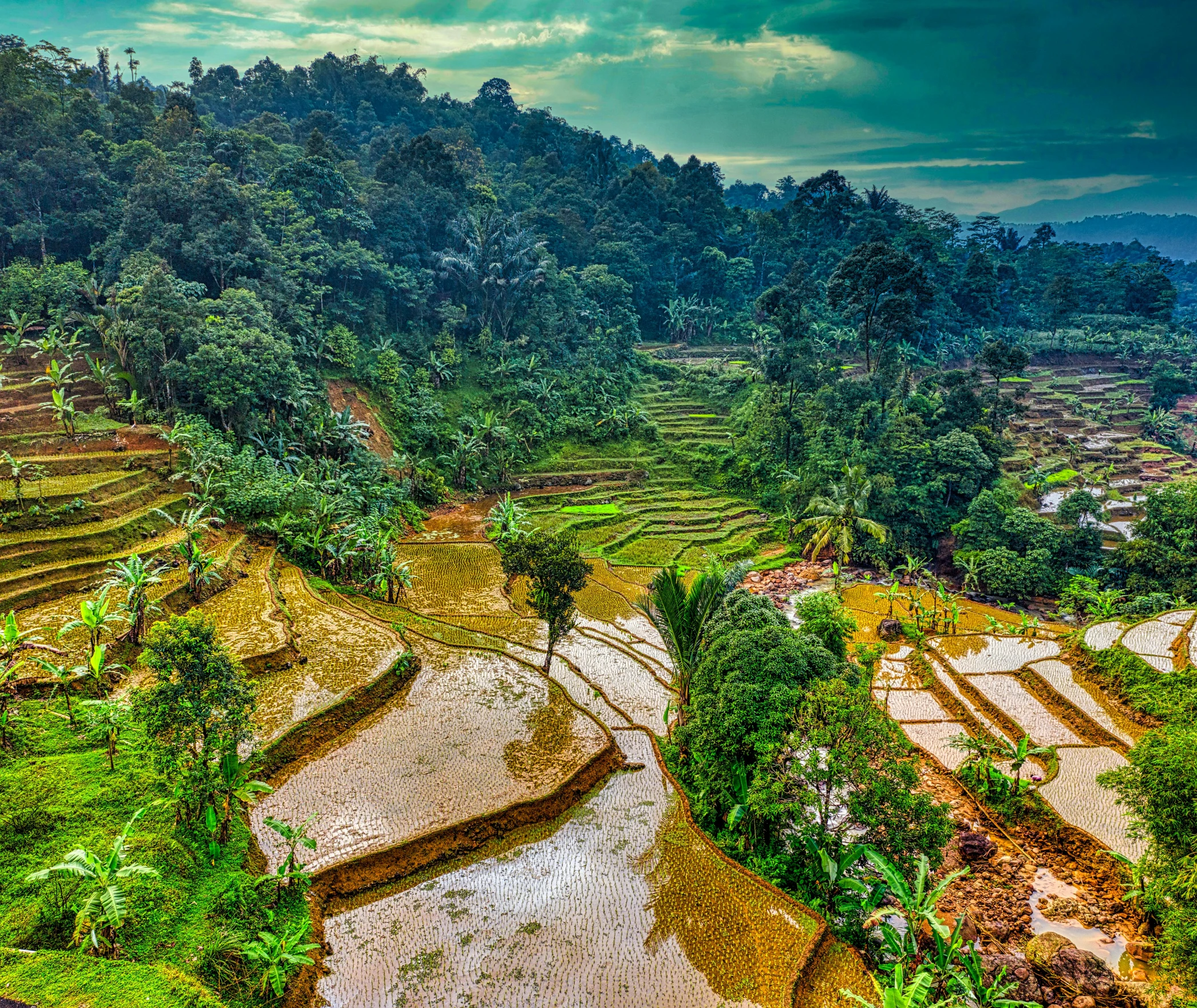 a river running through a lush green valley, sumatraism, staggered terraces, hdr!, featured art, thumbnail