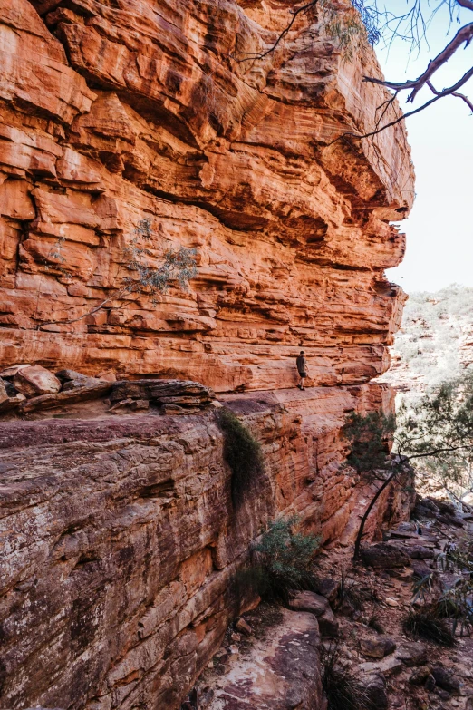 a man standing on top of a cliff next to a tree, pexels contest winner, australian tonalism, dry archways, red sandstone natural sculptures, high angle view, narrow passage