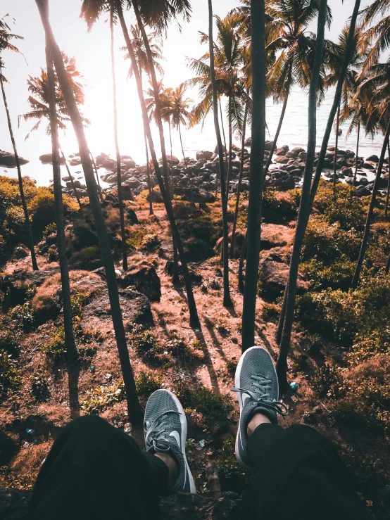 a person sitting on a rock with palm trees in the background, by Max Dauthendey, pexels contest winner, wearing white sneakers, bird\'s eye view, hanging trees, detailed scenic view