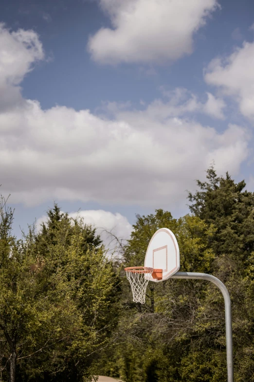 a basketball hoop in the middle of a dirt road, flying trees and park items, holding court, big sky, green spaces