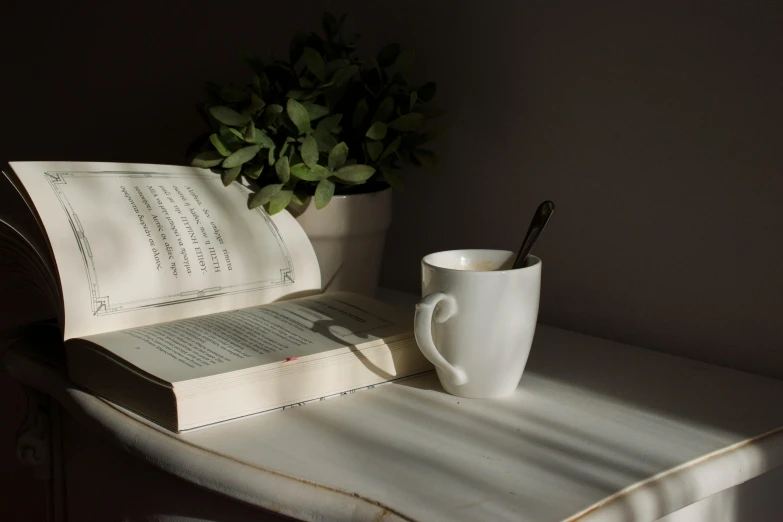 an open book sitting on top of a table next to a cup of coffee, a still life, unsplash, romanticism, organic ceramic white, soft backlighting, shelf, close up portrait shot
