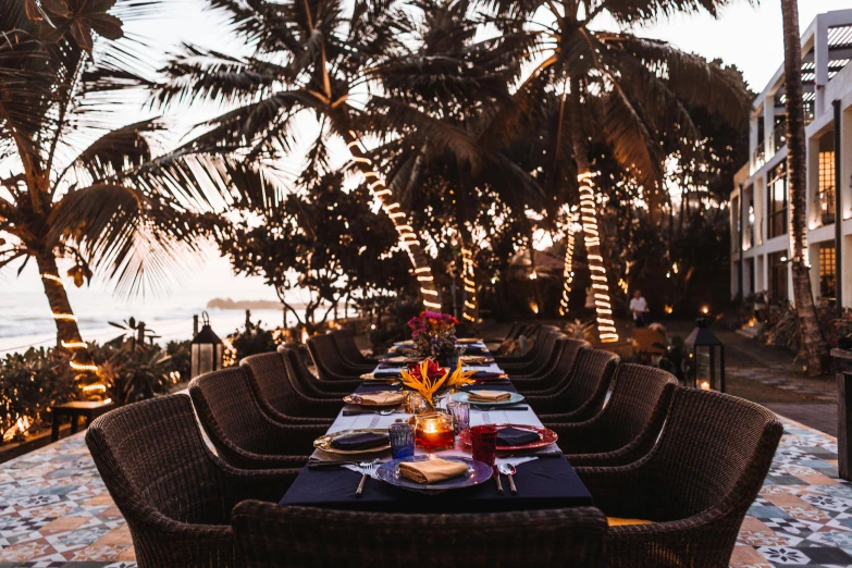 a table set for dinner with palm trees in the background, a portrait, pexels contest winner, sri lanka, long table, winter setting, lush lighting