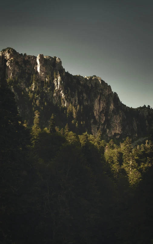 a group of people standing on top of a mountain, dark pine trees, sharp cliffs, late afternoon lighting, unsplash 4k