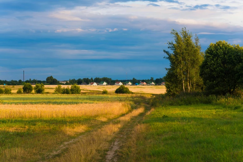 a dirt road running through a lush green field, inspired by Isaac Levitan, pexels contest winner, land art, swedish houses, evening light, russian village, today\'s featured photograph 4k