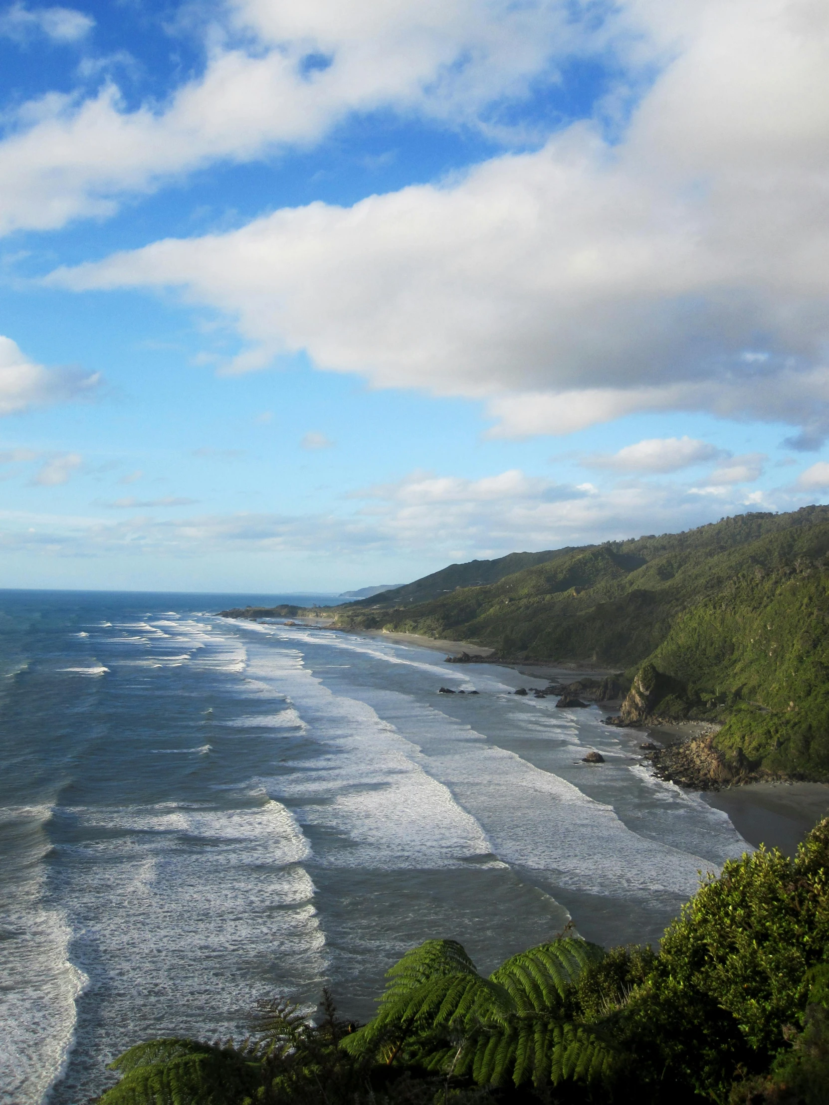 a view of the ocean from the top of a hill, new zeeland, towering waves, tawa trees, big sky