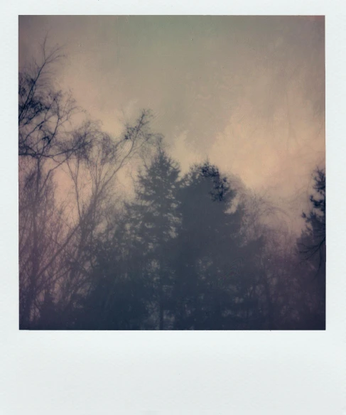 a polaroid picture with trees in the background, inspired by Elsa Bleda, unsplash, tonalism, gray sky with wispy clouds, the sky is a faint misty red hue, ((forest)), medium format