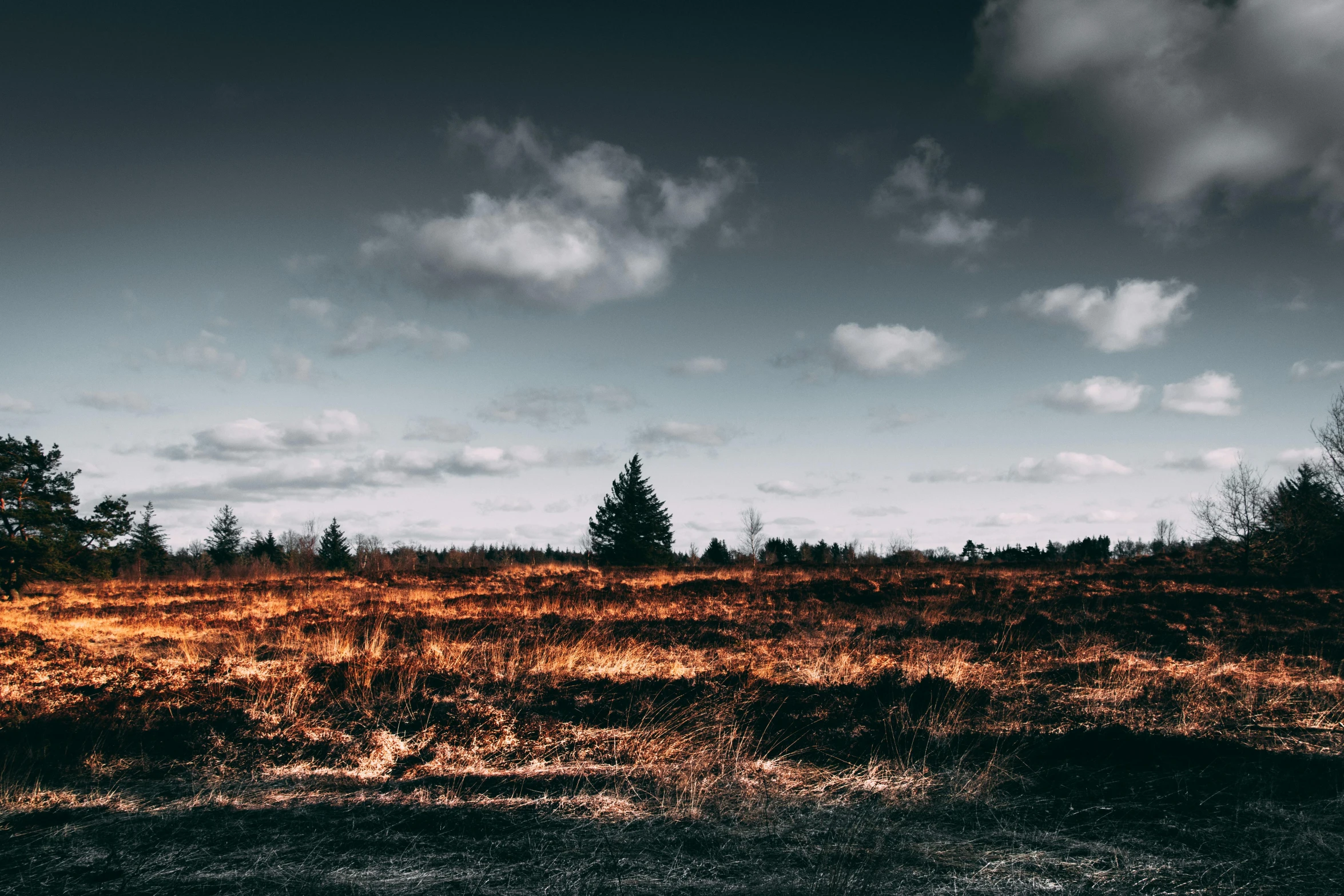 a field with grass and trees under a cloudy sky, by Jesper Knudsen, unsplash contest winner, land art, forest fire, background image, on a desolate plain, fire from sky