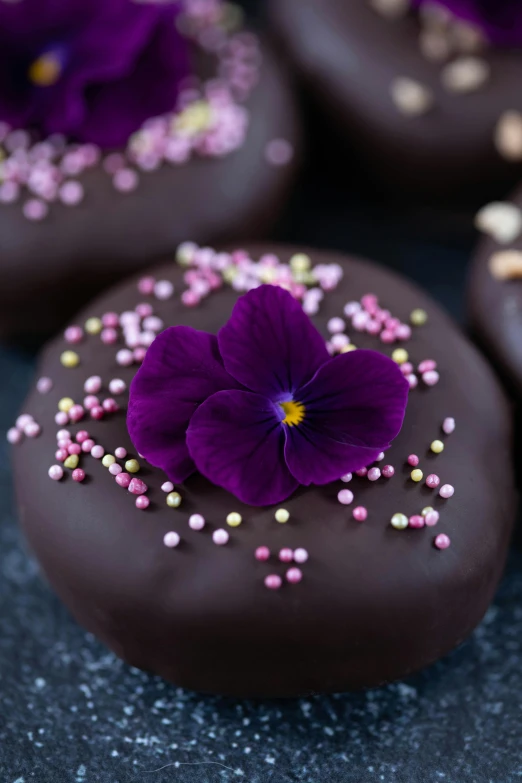 chocolate covered donuts with purple flowers and sprinkles, a portrait, all black matte product, dark. no text, lush botany, round-cropped