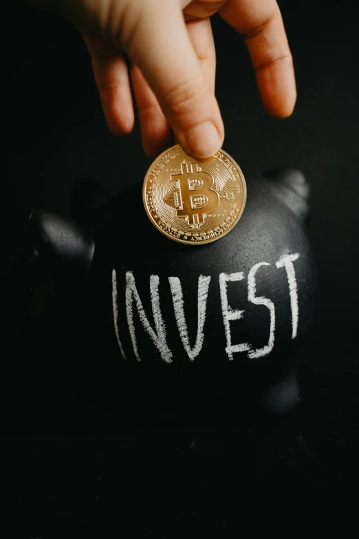 a person putting a coin into a piggy bank, a picture, pexels contest winner, cryptocurrency, inverted, a labeled, promo image