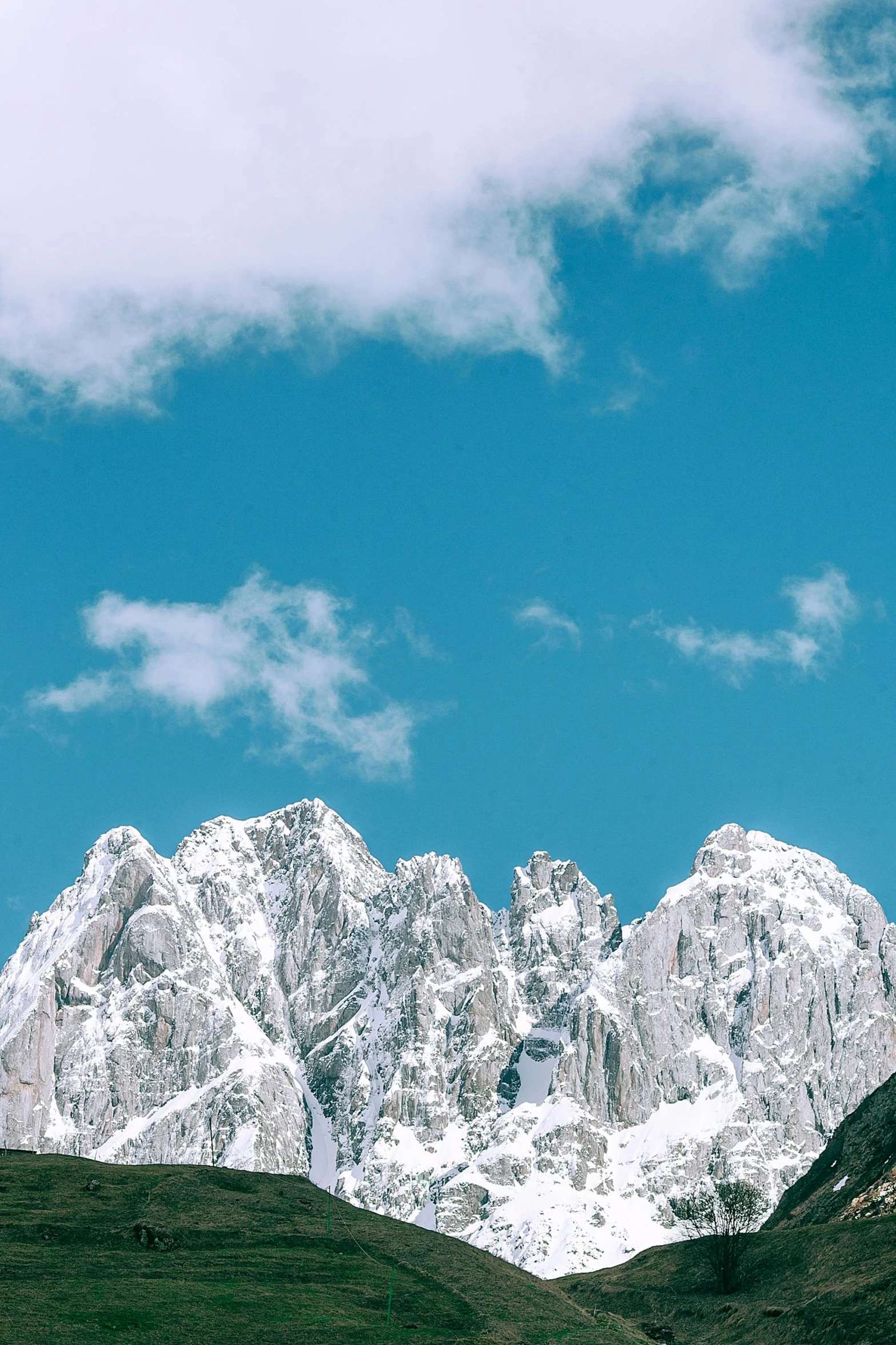 a herd of cattle standing on top of a lush green hillside, an album cover, trending on unsplash, minimalism, in the snow mountains, tall stone spires, cotton clouds, panorama