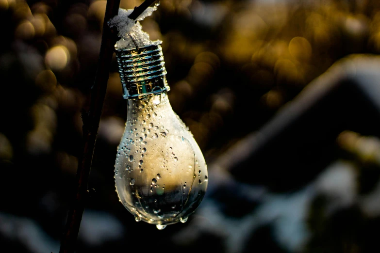 a light bulb hanging from a tree branch, unsplash, condensation drip, promo image, liquid metal, ignant