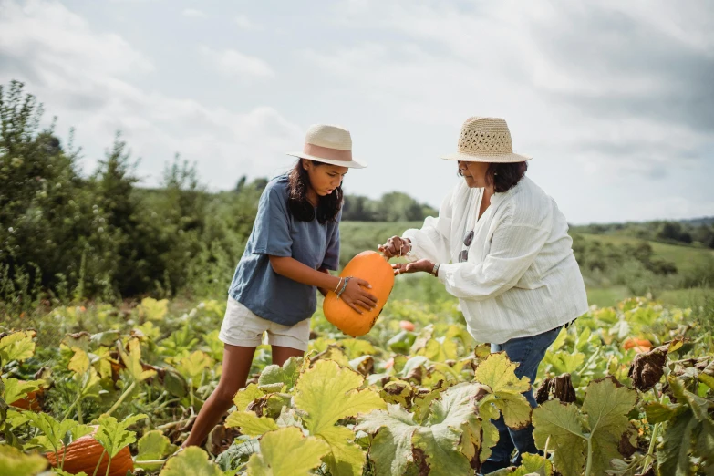 a couple of women standing next to each other in a field, by Everett Warner, pexels contest winner, she is a gourd, gardening, thumbnail, opening shot