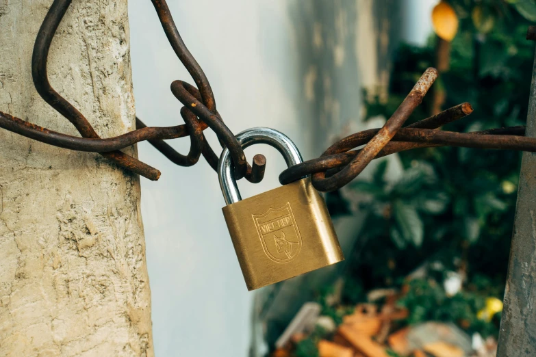 a close up of a lock on a chain, trending on pexels, private press, wrapped in vines, brass plated, 35 mm product photo”, old english