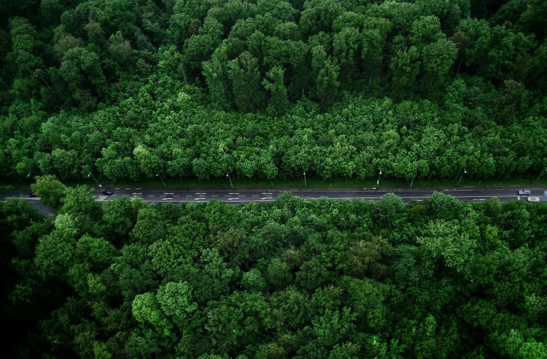 an aerial view of a road surrounded by trees, by Adam Marczyński, hurufiyya, a green, thumbnail, cinematic shot ar 9:16 -n 6 -g, helicopter view