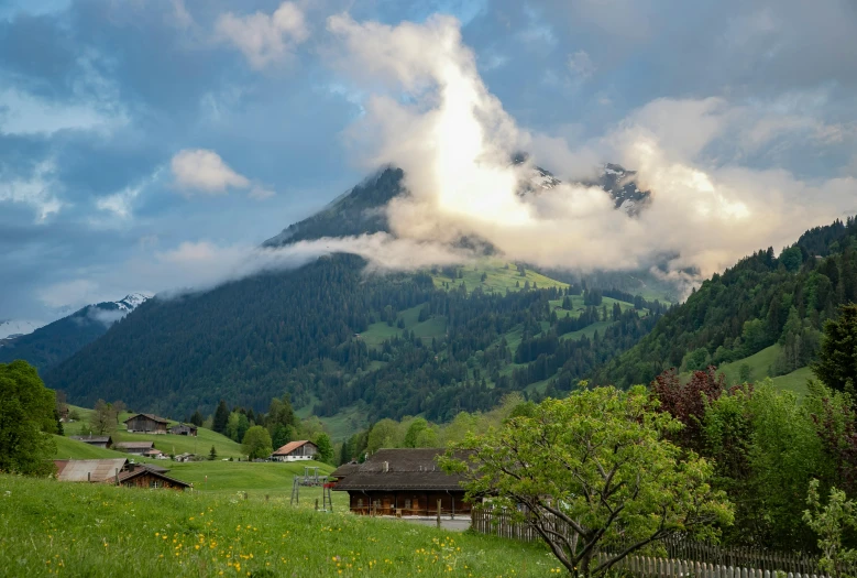 a herd of sheep grazing on top of a lush green field, by Daren Bader, pexels contest winner, log cabin beneath the alps, tie-dye, pyramid surrounded with greenery, john pawson