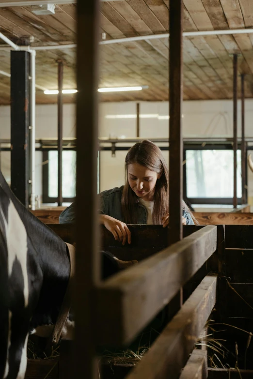 a woman standing next to a black and white cow, inside a barn, profile image, feed troughs, alessio albi