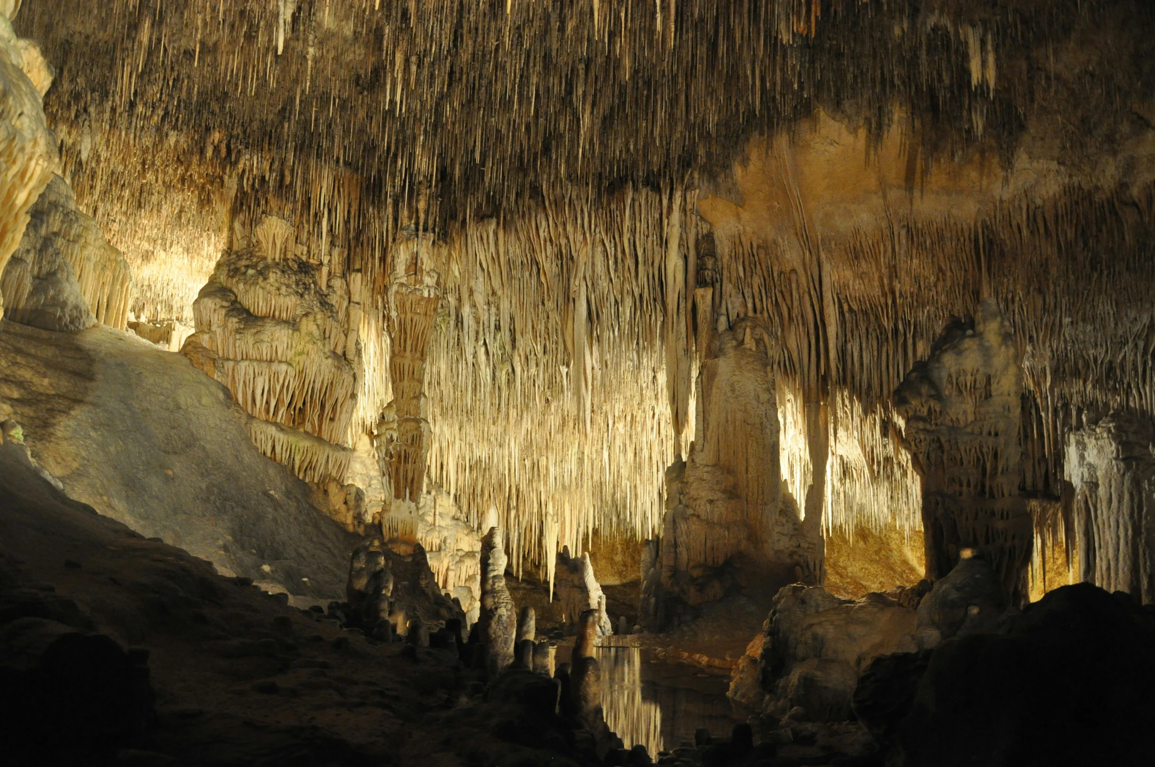 a group of people standing inside of a cave, high detailed thin stalagtites, complex ceiling, promo image, costa blanca