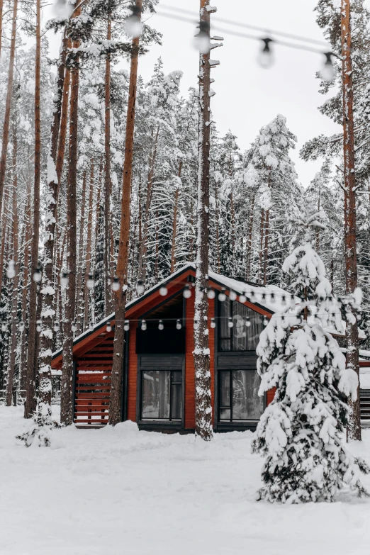 a cabin in the middle of a snowy forest, inspired by Eero Snellman, pexels contest winner, bauhaus, avatar image, luxurious wooden cottage, profile image, traditional russia